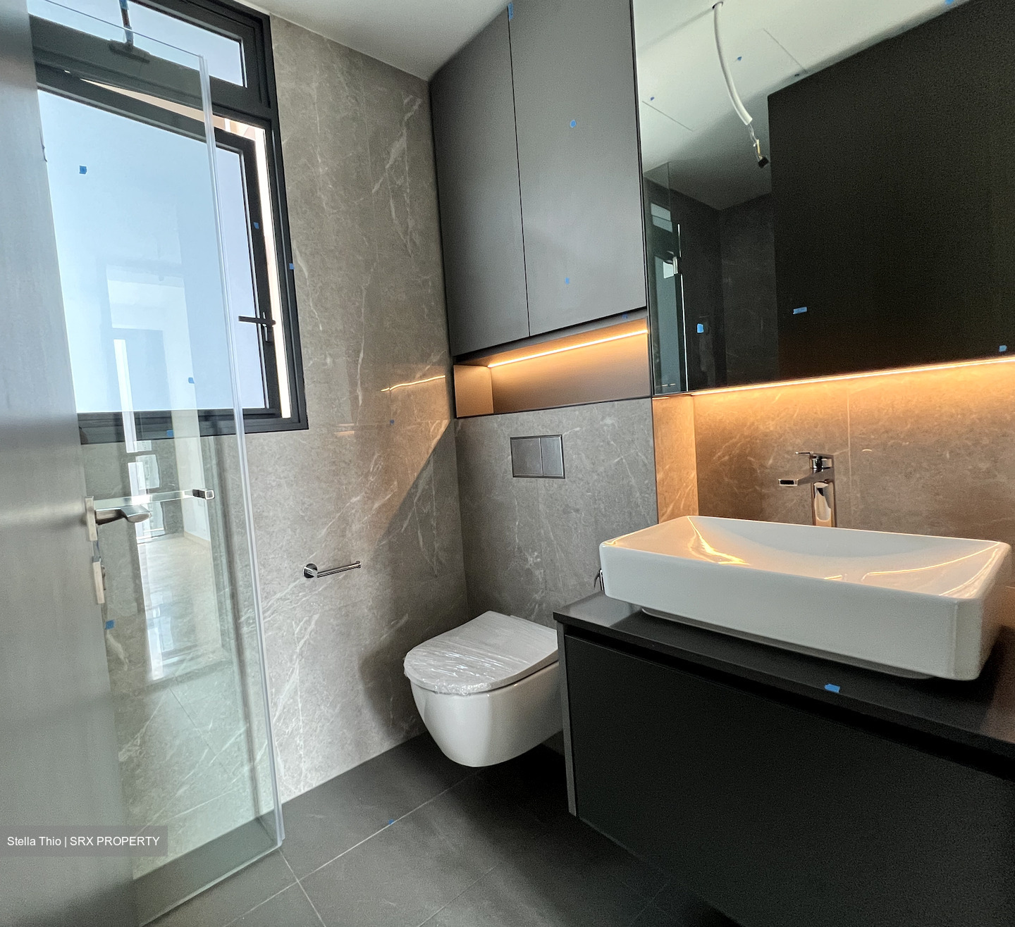 Irwell Hill Residences (D9), Apartment #446170581